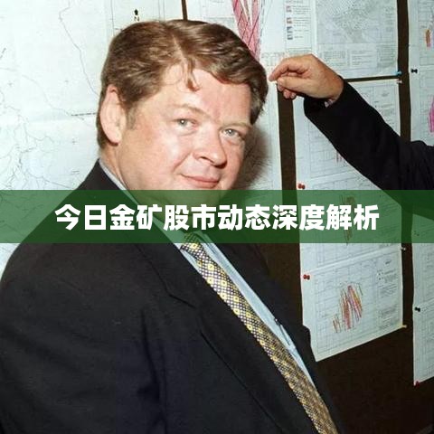 今日金矿股市动态深度解析