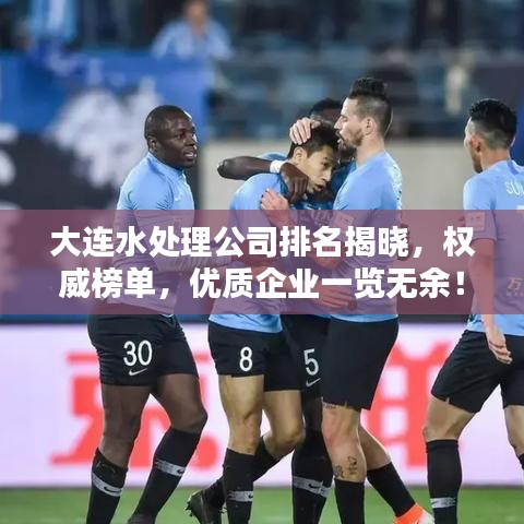 大连水处理公司排名揭晓，权威榜单，优质企业一览无余！