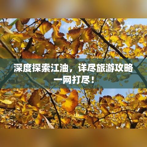 深度探索江油，详尽旅游攻略一网打尽！