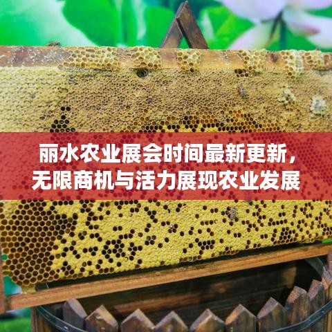 丽水农业展会时间最新更新，无限商机与活力展现农业发展风采