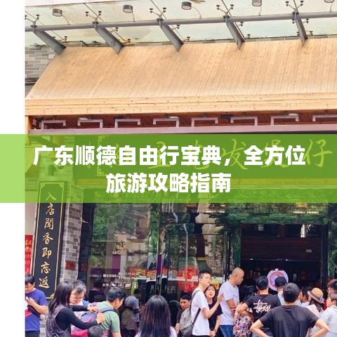 广东顺德自由行宝典，全方位旅游攻略指南