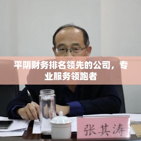 平阴财务排名领先的公司，专业服务领跑者