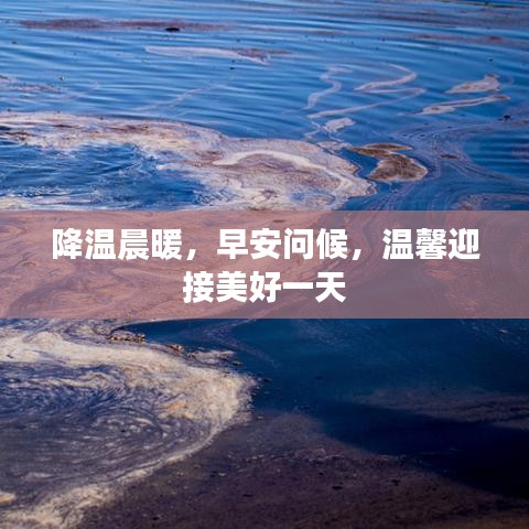 降温晨暖，早安问候，温馨迎接美好一天
