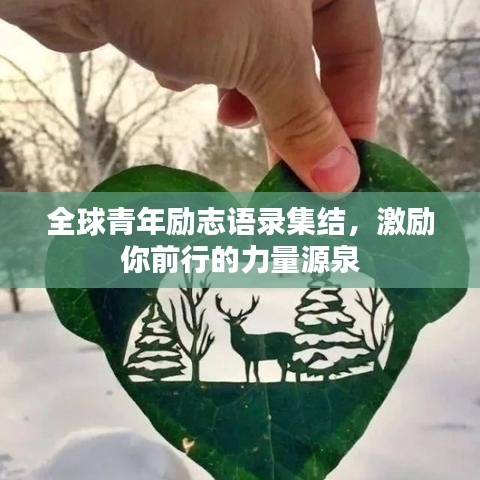 全球青年励志语录集结，激励你前行的力量源泉