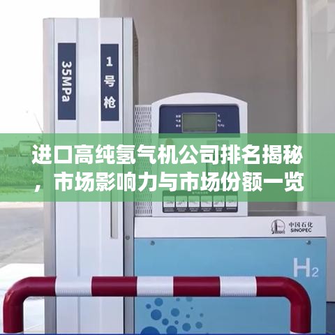 进口高纯氢气机公司排名揭秘，市场影响力与市场份额一览