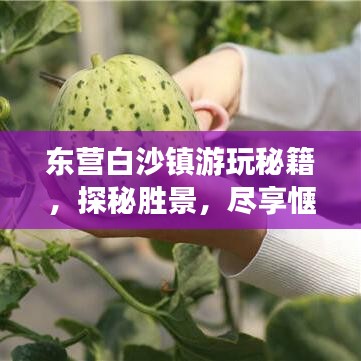 东营白沙镇游玩秘籍，探秘胜景，尽享惬意之旅！