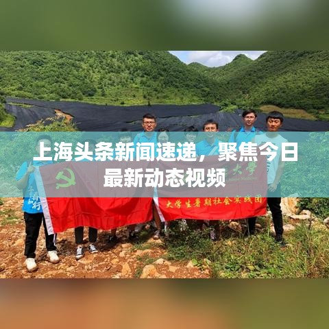 上海头条新闻速递，聚焦今日最新动态视频