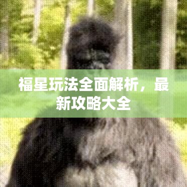 福星玩法全面解析，最新攻略大全