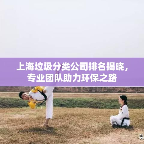 上海垃圾分类公司排名揭晓，专业团队助力环保之路