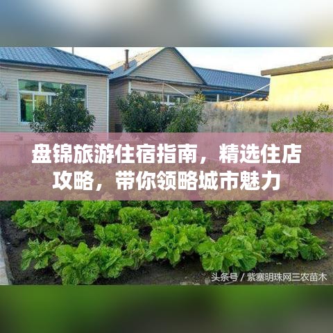 盘锦旅游住宿指南，精选住店攻略，带你领略城市魅力