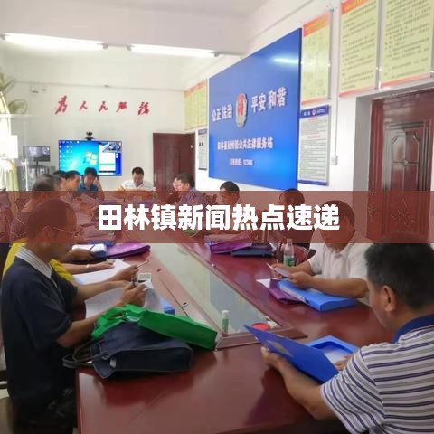 田林镇新闻热点速递