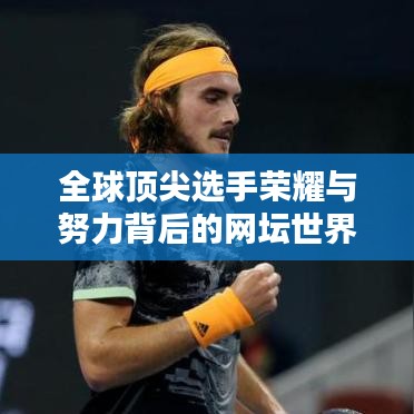 全球顶尖选手荣耀与努力背后的网坛世界排名揭秘