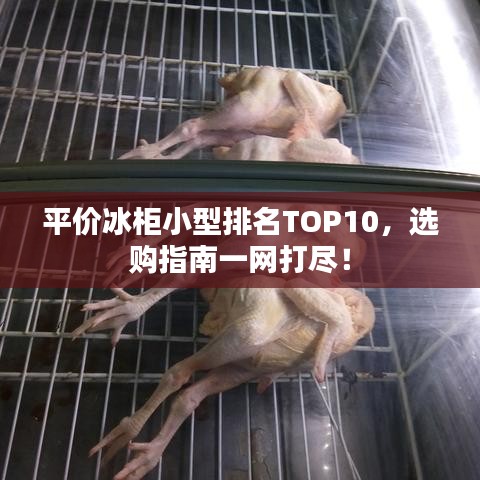 平价冰柜小型排名TOP10，选购指南一网打尽！