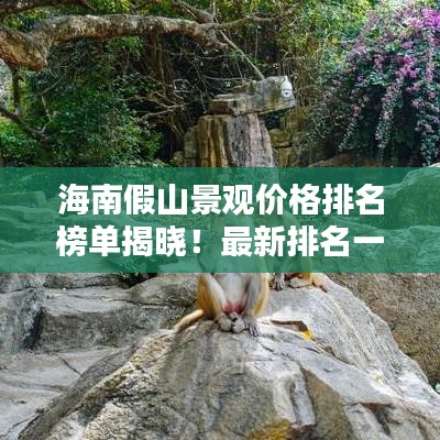 海南假山景观价格排名榜单揭晓！最新排名一网打尽