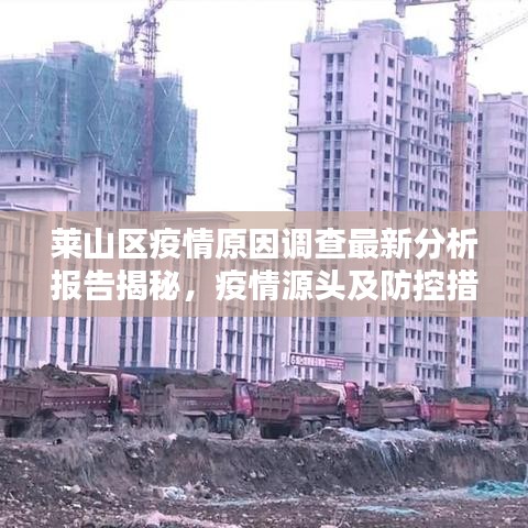 莱山区疫情原因调查最新分析报告揭秘，疫情源头及防控措施分析