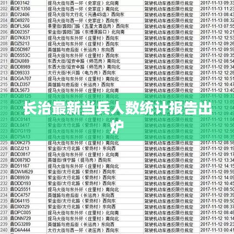 长治最新当兵人数统计报告出炉