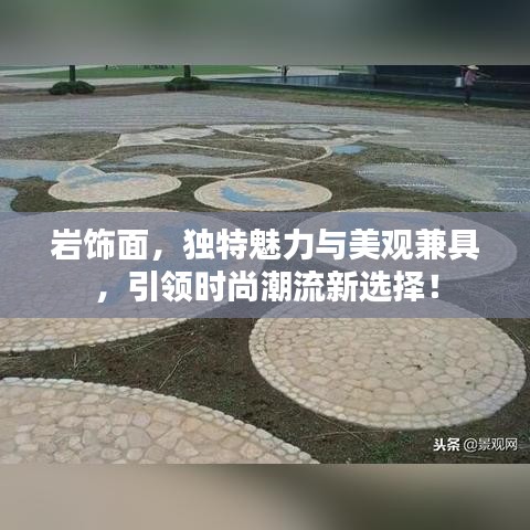岩饰面，独特魅力与美观兼具，引领时尚潮流新选择！