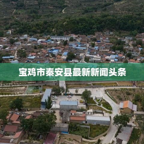 宝鸡市秦安县最新新闻头条