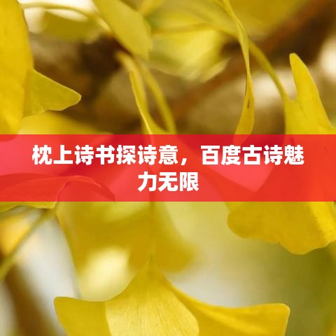 枕上诗书探诗意，百度古诗魅力无限