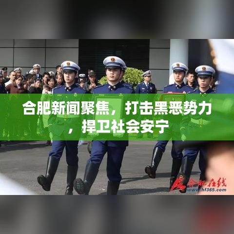 合肥新闻聚焦，打击黑恶势力，捍卫社会安宁