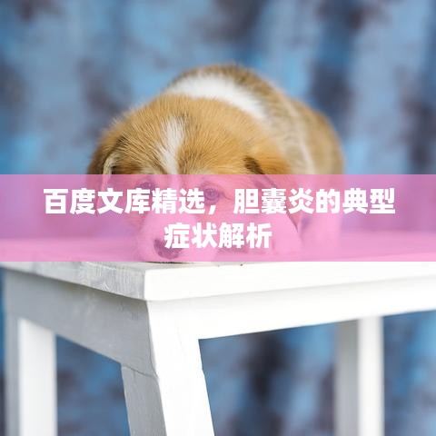 百度文库精选，胆囊炎的典型症状解析