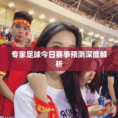 专家足球今日赛事预测深度解析