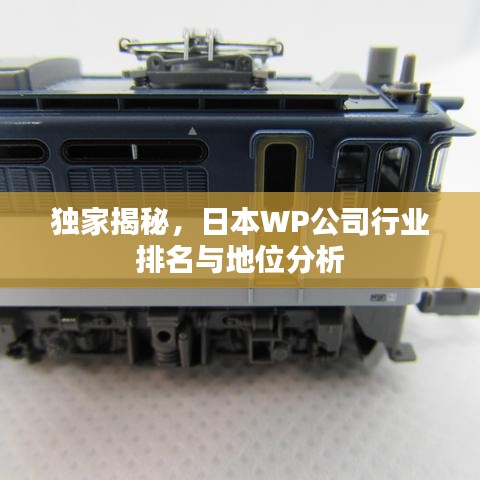 独家揭秘，日本WP公司行业排名与地位分析
