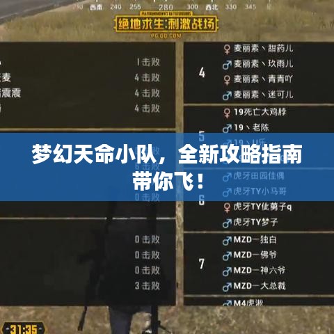 梦幻天命小队，全新攻略指南带你飞！