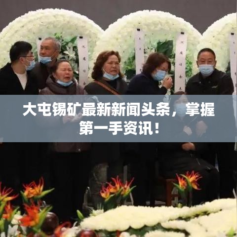 大屯锡矿最新新闻头条，掌握第一手资讯！