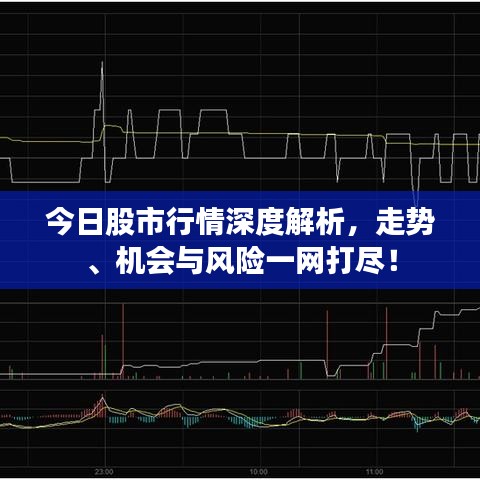 今日股市行情深度解析，走势、机会与风险一网打尽！