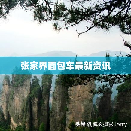 张家界面包车最新资讯