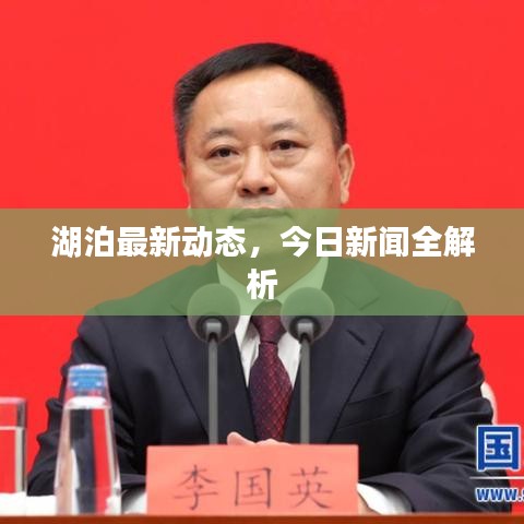 湖泊最新动态，今日新闻全解析
