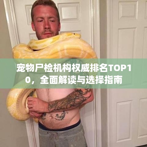 宠物尸检机构权威排名TOP10，全面解读与选择指南