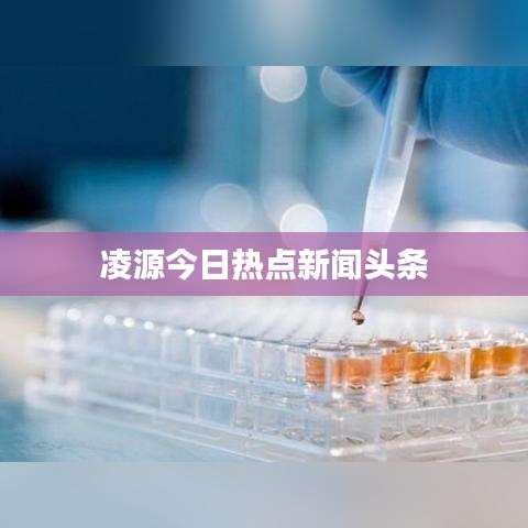凌源今日热点新闻头条