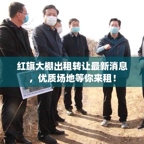 红旗大棚出租转让最新消息，优质场地等你来租！
