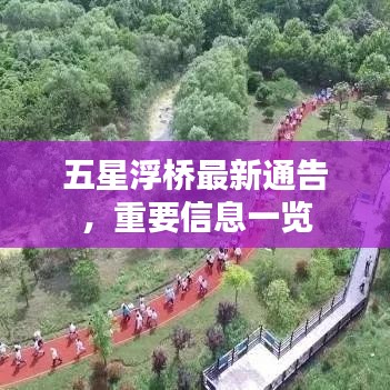 五星浮桥最新通告，重要信息一览