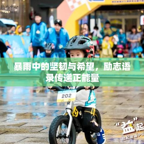暴雨中的坚韧与希望，励志语录传递正能量