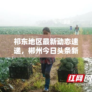 祁东地区最新动态速递，郴州今日头条新闻聚焦