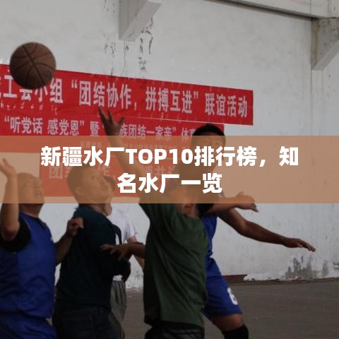新疆水厂TOP10排行榜，知名水厂一览