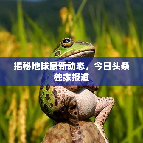 揭秘地球最新动态，今日头条独家报道
