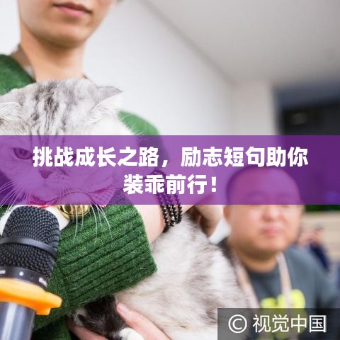 挑战成长之路，励志短句助你装乖前行！