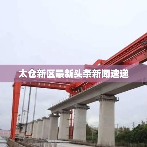 太仓新区最新头条新闻速递