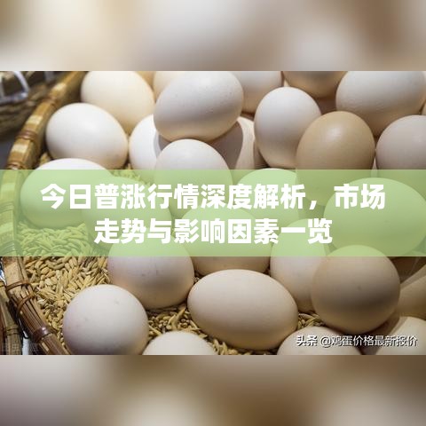 今日普涨行情深度解析，市场走势与影响因素一览