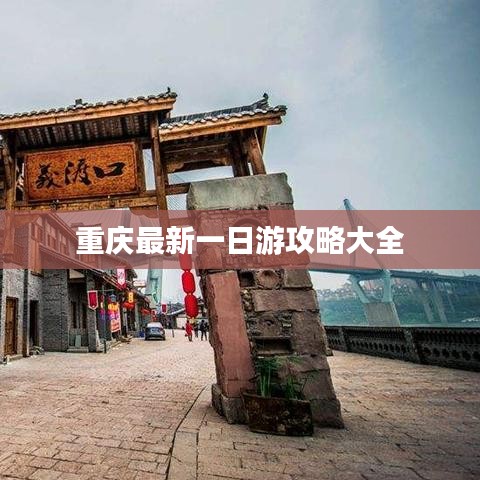 鸿飞雪爪