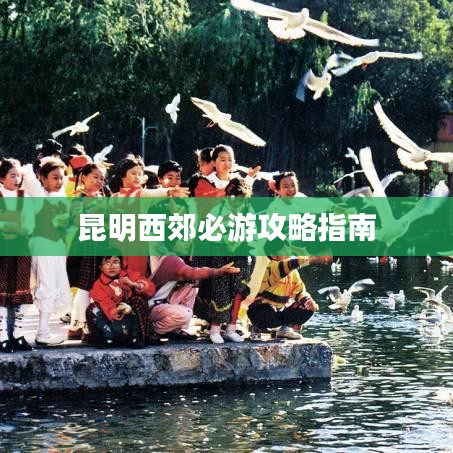昆明西郊必游攻略指南