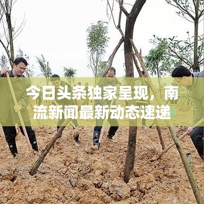 今日头条独家呈现，南流新闻最新动态速递