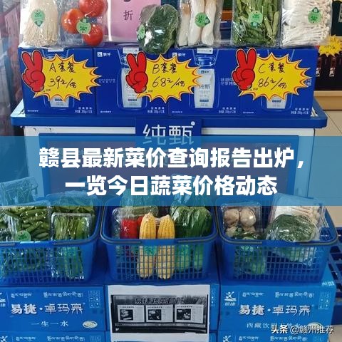 赣县最新菜价查询报告出炉，一览今日蔬菜价格动态