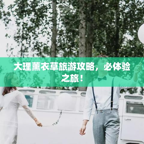 大理薰衣草旅游攻略，必体验之旅！