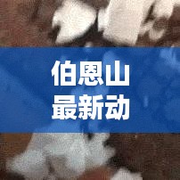伯恩山最新动态更新