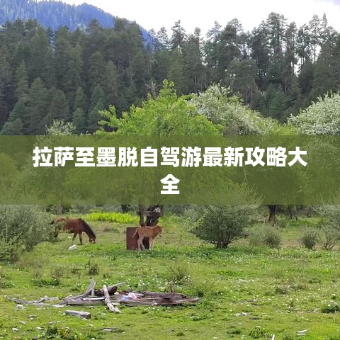 拉萨至墨脱自驾游最新攻略大全